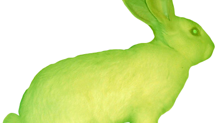 rabbit colored in neon greens