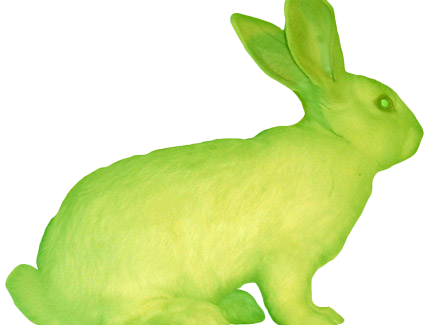 rabbit colored in neon greens