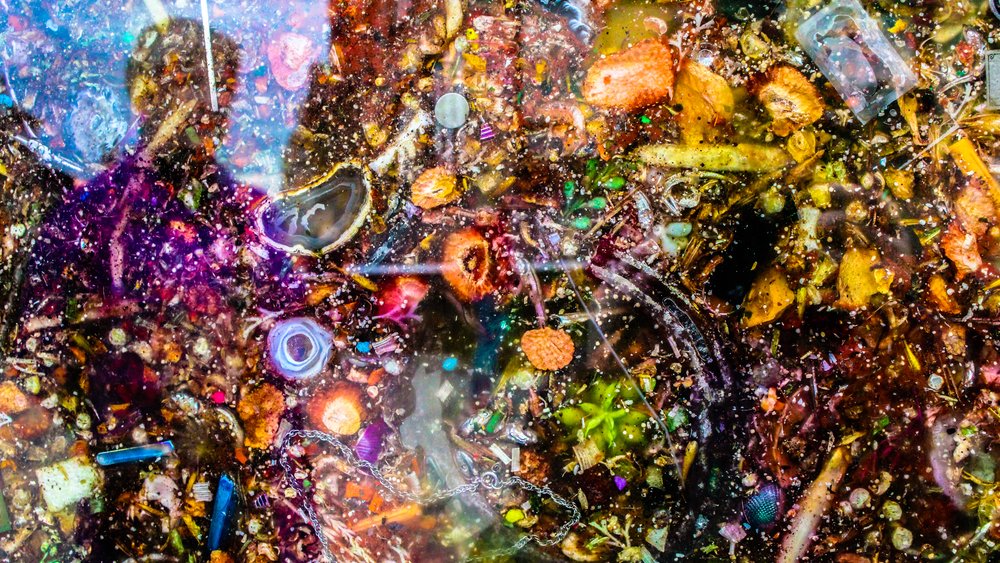art exhibit in NYC of a fish tank full of litter found along the bottom of the Hudson River